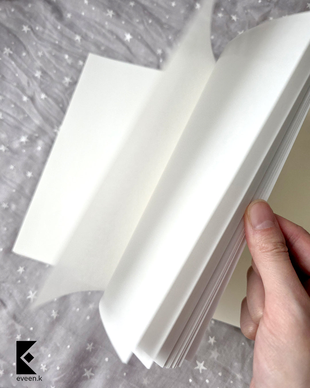 Fox Constellation Sticker Book